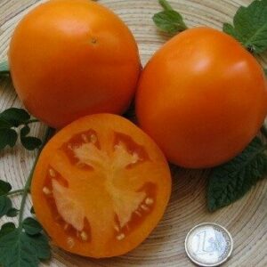 E. Tomates orange